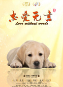 探索梦想战记：不可错过的游戏攻略